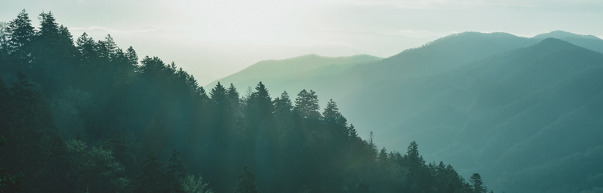 pureescapism